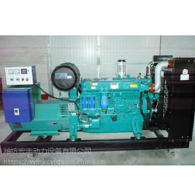 山东潍坊30kw柴油发电机组专业生产厂家——潍坊宏丰，中国供应商的可靠选择